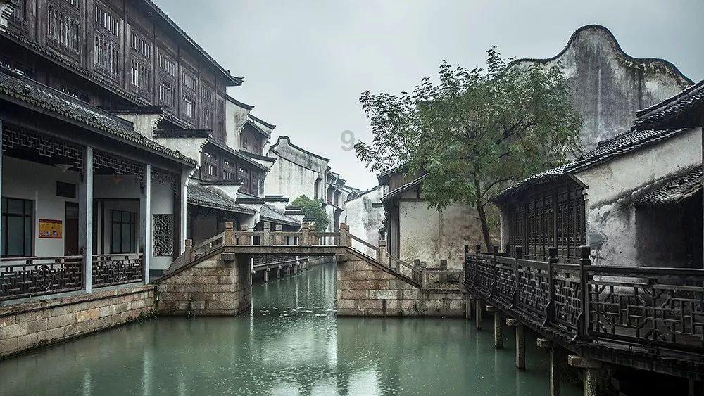 救援受困的老虎